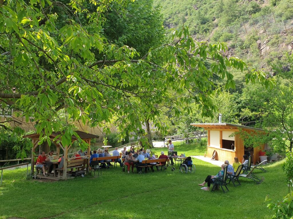 Menschen sitzen unter einem Baum und in der Nähe eines hölzernen Kiosks auf einer Wiese, einige in Rollstühlen, während sie an der frischen Luft entspannen.