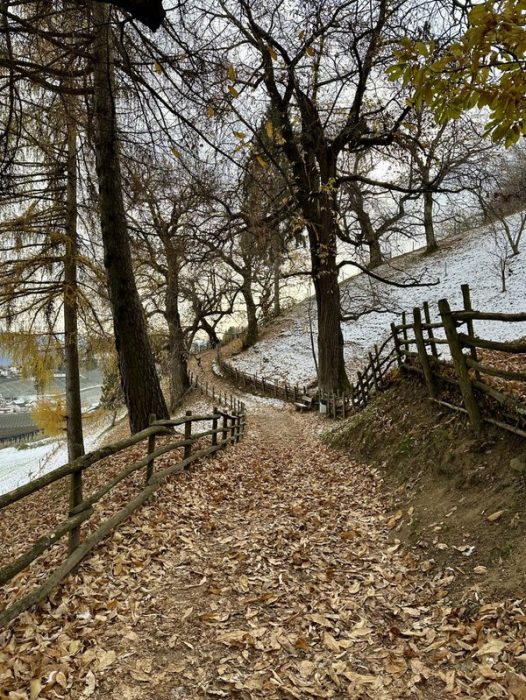 Kastanienweg Völlan