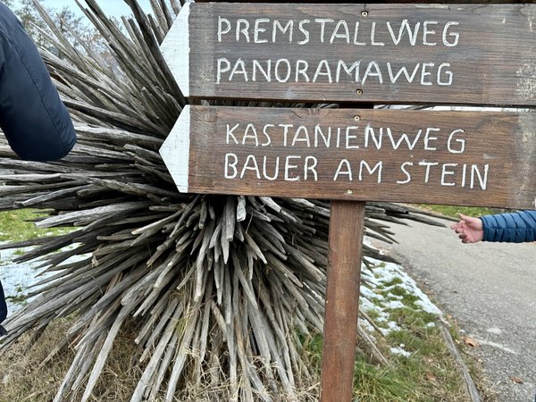Wegweiser und Kastanienigel